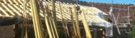 User comments